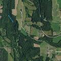 Cows reported loose near Nunda Ranch
