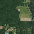 Dead animal blocking lane on State Route 436