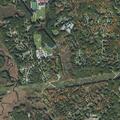 Tree down across driveway with wires reported