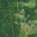 Person sick at Caring Heart Horse Rescue in Castleton