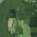81-year-old male fallen with possible hip injury in New York
