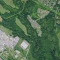 Man not responding normally near Selkirk