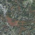 Woman vomiting near Evergreen Drive in Wilmington