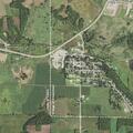 Woman suffers allergic reaction to bee sting in Browntown