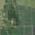 Young girl attacked by dog near 122nd Avenue in Shelbyville
