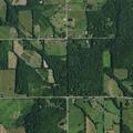 Car hits deer and goes into ditch in Nunda