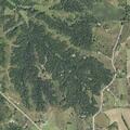 Elderly man weak and feverish near Timberlane Drive