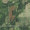 Man trapped under tree during tree cutting in Hastings
