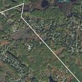 Halloween decorations damaged and house toilet-papered