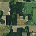 Farmer accused of breaking neighbor’s pine tree