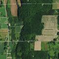 Male reported ill near Garry Rd location in Bliss, NY