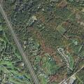 Gastrointestinal tube pulled out at group home in Topsfield