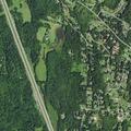 Bear spotted near home on Elliott Road