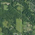Man possibly having a stroke on trail in New Scotland