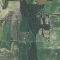 94-year-old female incoherent and immobile in Webberville
