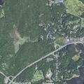 Juvenile reports self-harm risk near Essex Ave