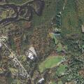 Woman conscious but not alert with pain in Groton