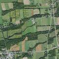 Elderly woman falls with shoulder injury near County Road 141 in Trumansburg