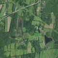 Elderly woman falls and vomits near East Berne