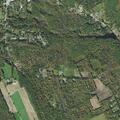 Loose dog reported on Willard Road in Ashburnham