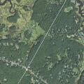 13-year-old male suicidal near Essex Ave