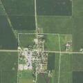 Man with diabetic issue treated at Palmer auction site
