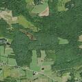 Welfare check near Brooker Hollow Road, Richmondville