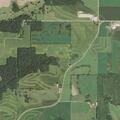 Vehicle hits cow on State Highway 78