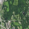 Police respond to group making noise in woods