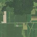 Loose horses contained on Decatur Road property