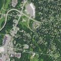 Bear reported near elementary school area