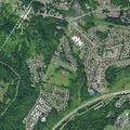 Woman falls and bleeds from head near Marquis Drive in Slingerlands