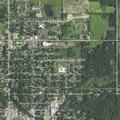Man reported trying to lure children near North Michigan Avenue