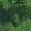 Elderly man fallen, denying injury in Holland