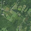 Woman with arm and neck pain at Warners Lake Rd