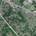 86-year-old man falls near Arch Avenue in Albany