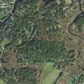 Man with lower abdominal and groin pain in Ipswich