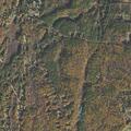 84-year-old woman with altered mental status in Pepperell