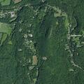 Report of nine missing goats from property