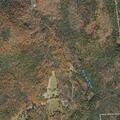 79-year-old male falls near Davis Mine Road