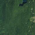 Older man with blood in stool at Davitt Lake Rd