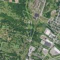 Loud singing complaint in backyard on Glenwood Road