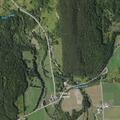 Neighbor reportedly shooting at cows