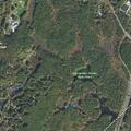 Motorbikes reported on trail in state forest
