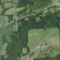 Loose cows creating road hazard near Granville Hill