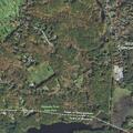 Small grill fire near shoreline rope swing
