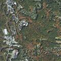 Person found lying in woods behind house on Cedarwood Lane