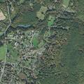 Loose dog contained in fenced yard in Northfield