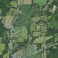 Delivery vehicle strikes and kills dog on County Road