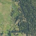 Single-car crash into trees at Wood River area